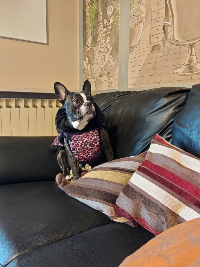 La Chicca Apartman Annicco Kültér fotó